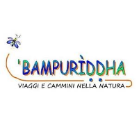 immagine di Associazione Bampuriddha