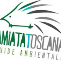 immagine di Amiata Toscana Guide Ambientali