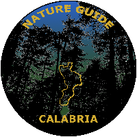 immagine di Nature Guide Calabria